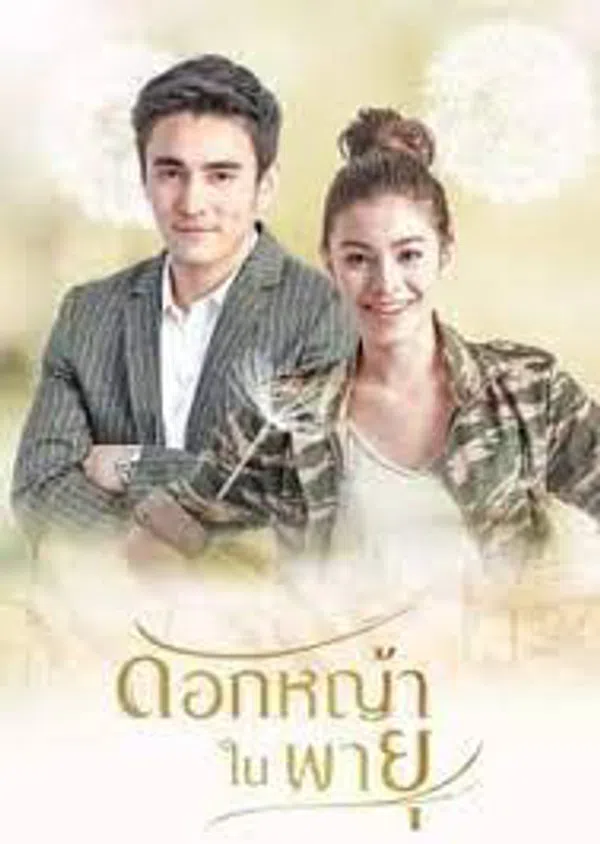 Poster phim Hoa Cỏ Lau Trong Bão trên PhimMoi